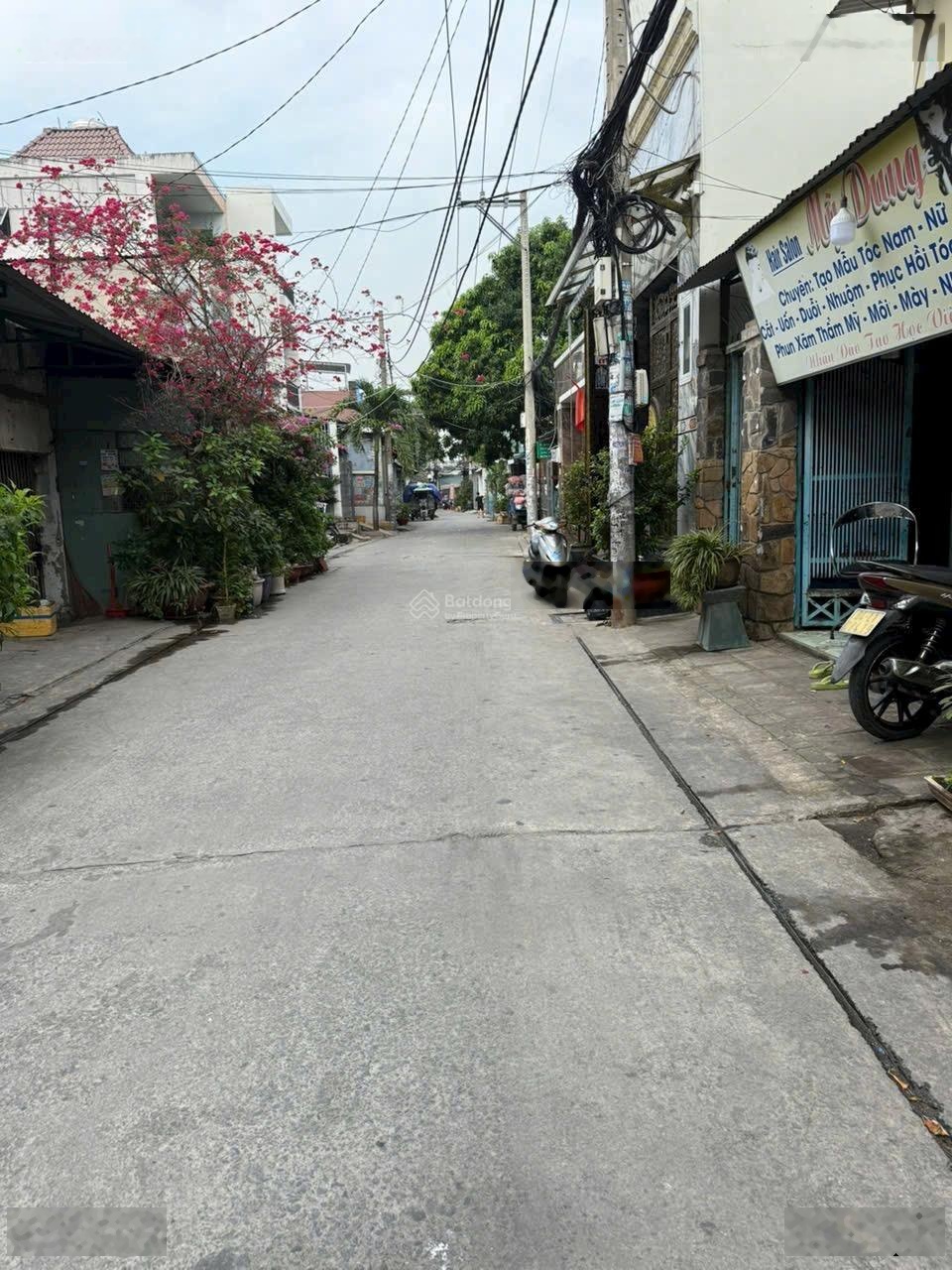 ảnh