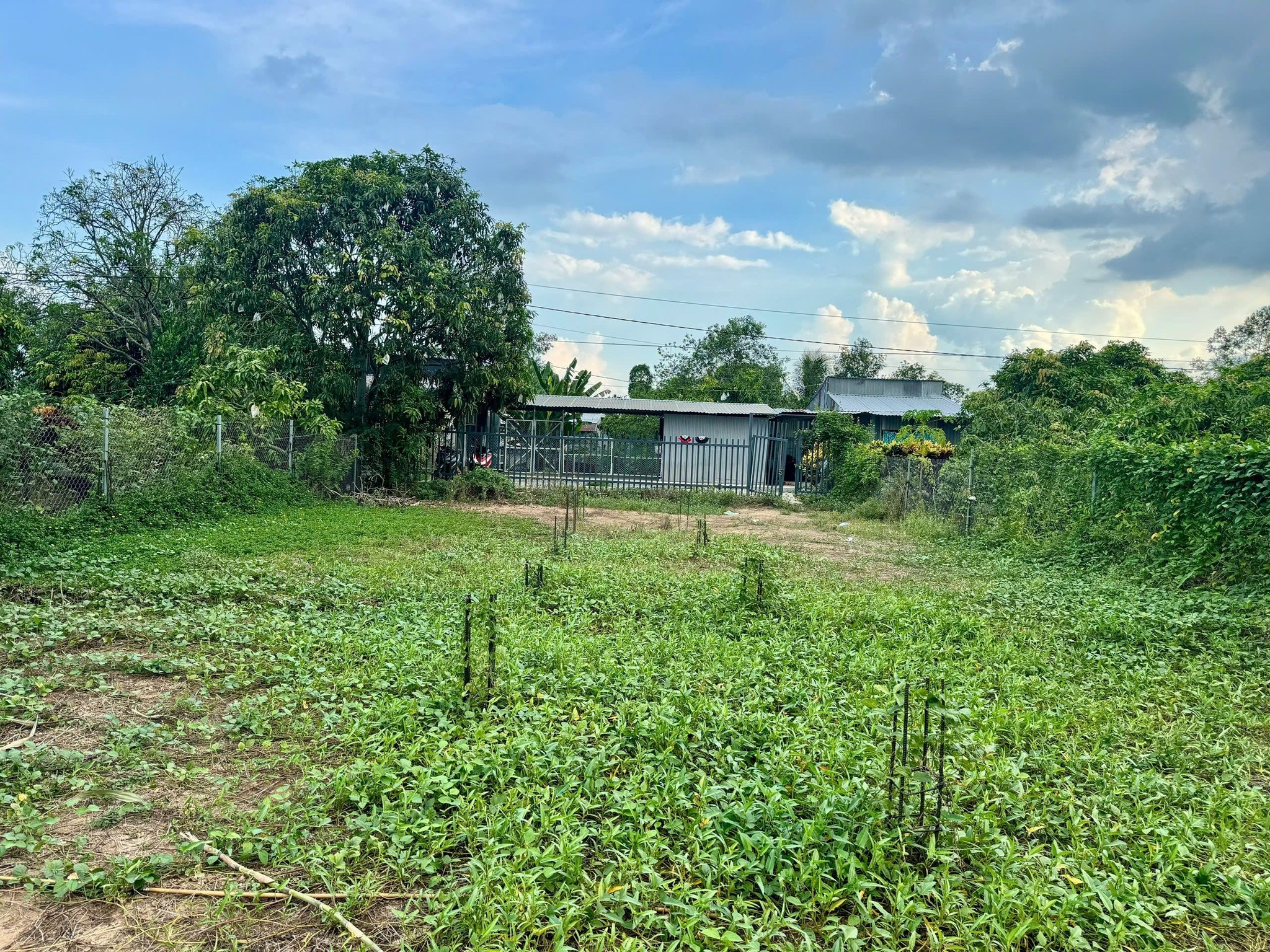 Bán đất thành phố Cao Lãnh, tỉnh Đồng Tháp giá cả thương lượng