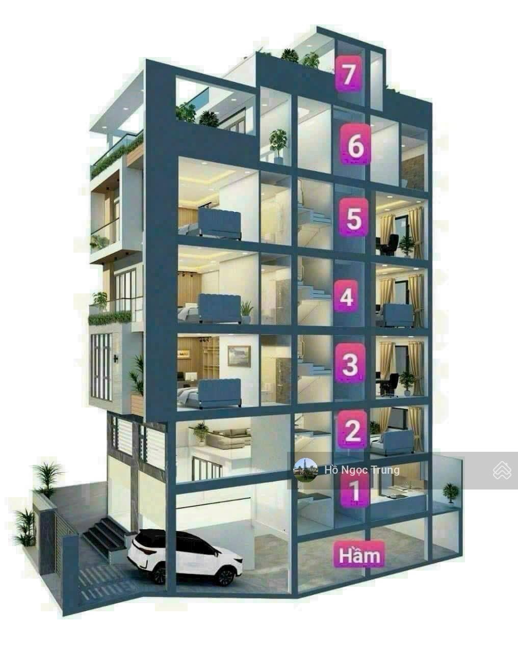 ảnh