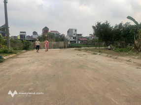 Chính chủ gửi bán 610m2 đất nông nghiệp tại Viên Nội, Vân Nội, sẵn nhà cấp 4, đất sát khu dân cư