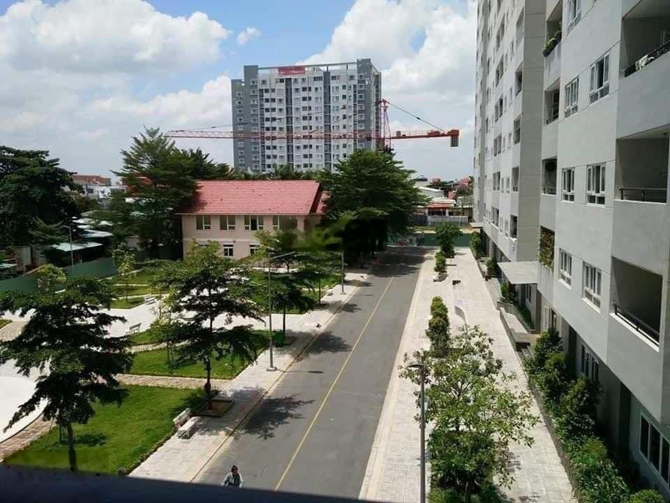 ảnh