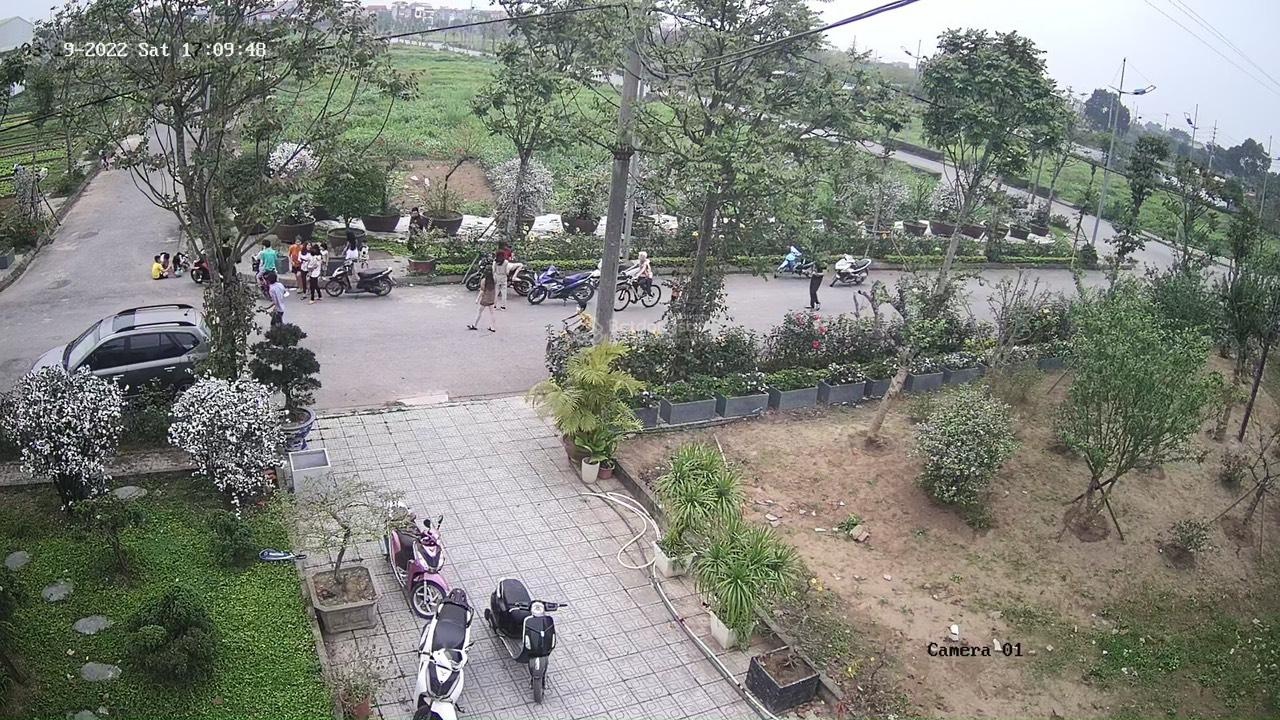 ảnh