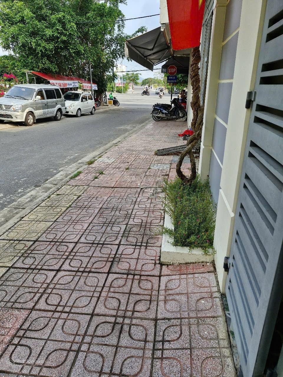 ảnh