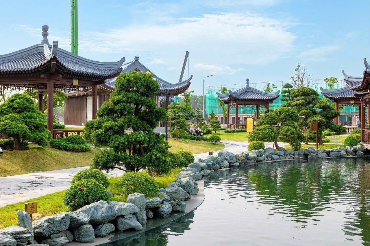 ảnh
