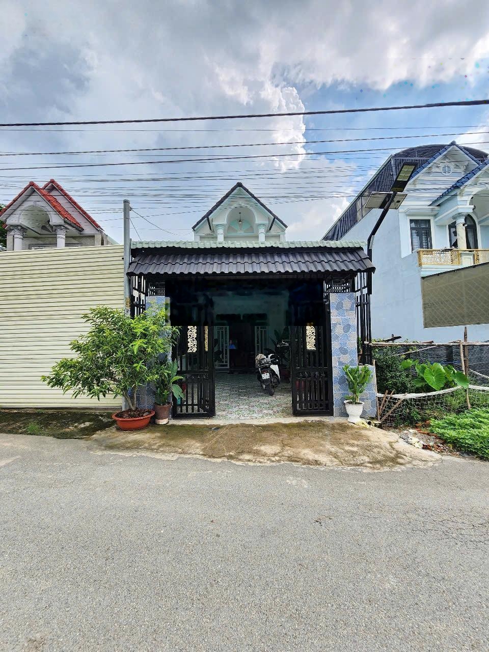 ảnh