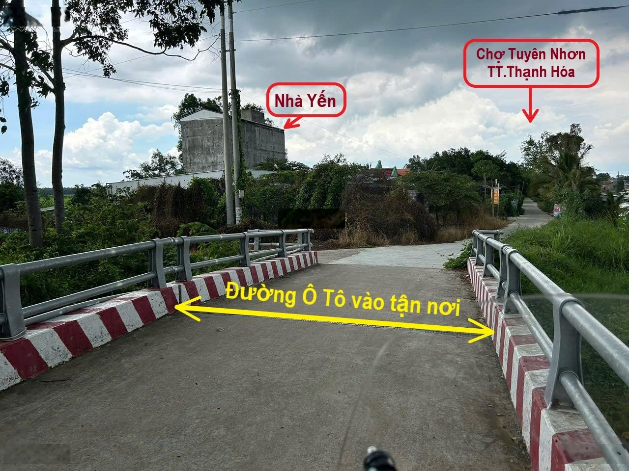 ảnh