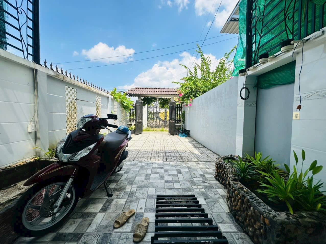 ảnh