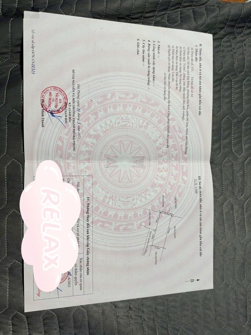ảnh