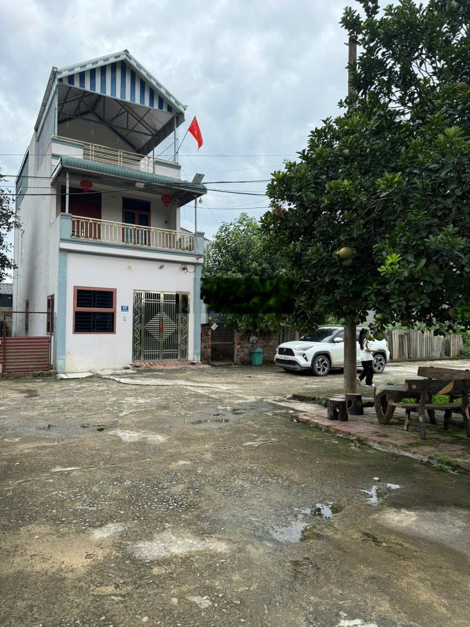 ảnh