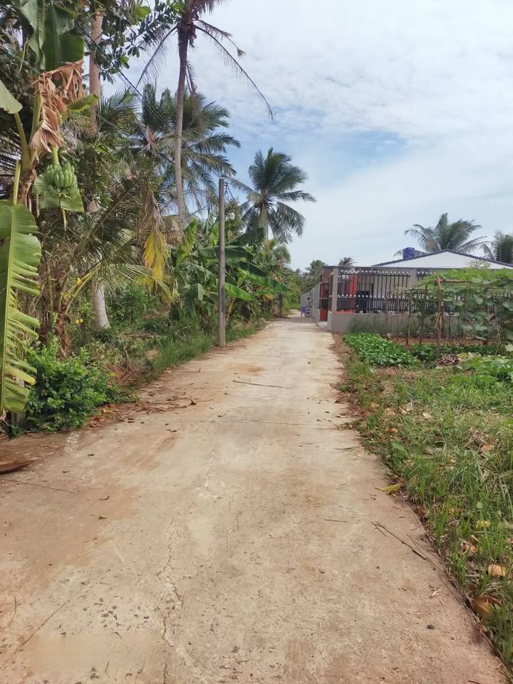 Bán đất Phú Hưng siêu đẹp, có thổ cư, không dính dự án, giá chỉ 2.17 tỷ