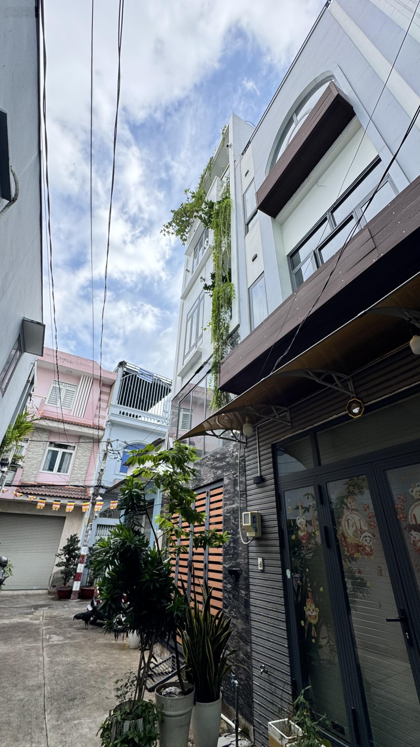 ảnh