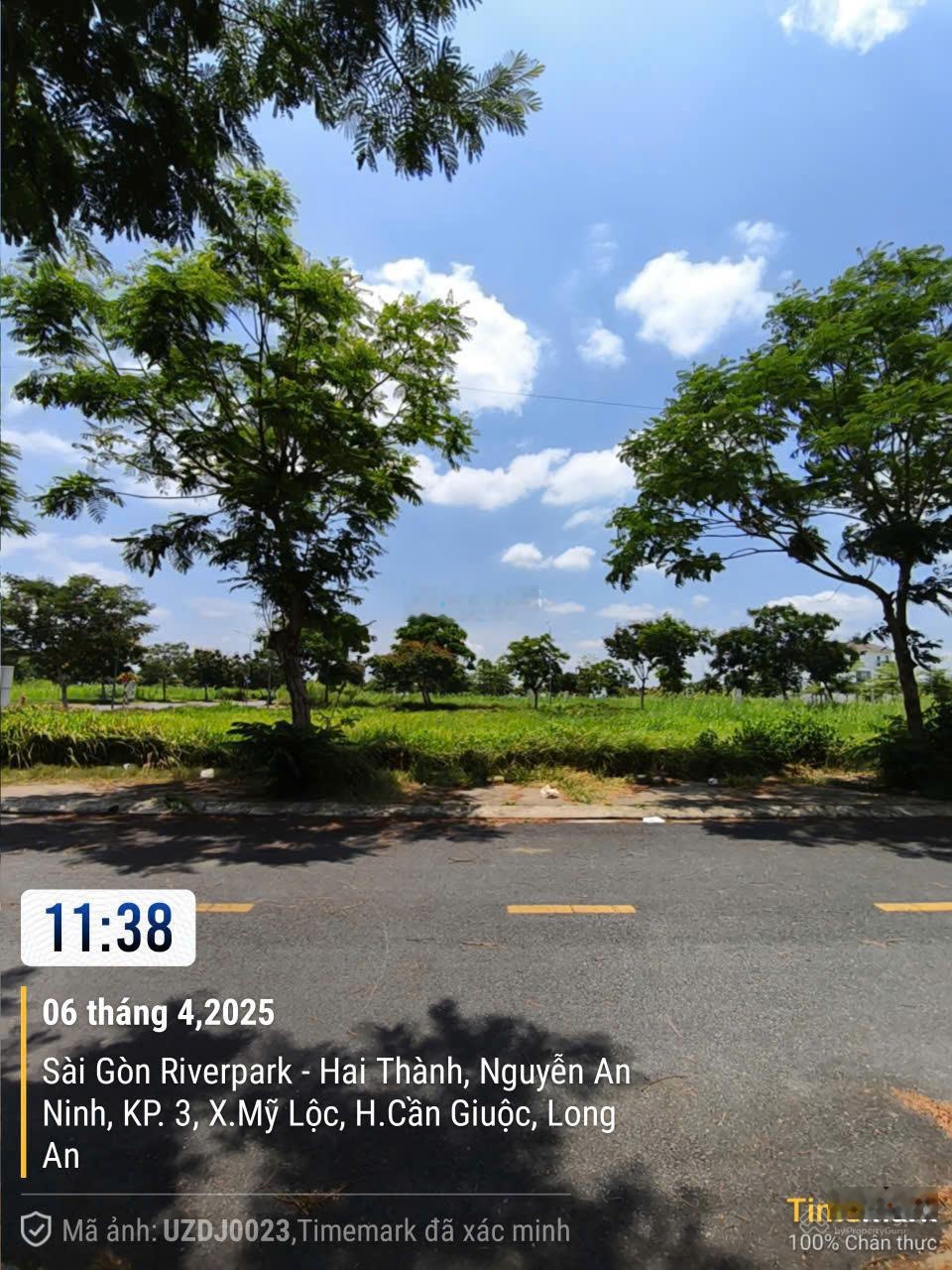 ảnh