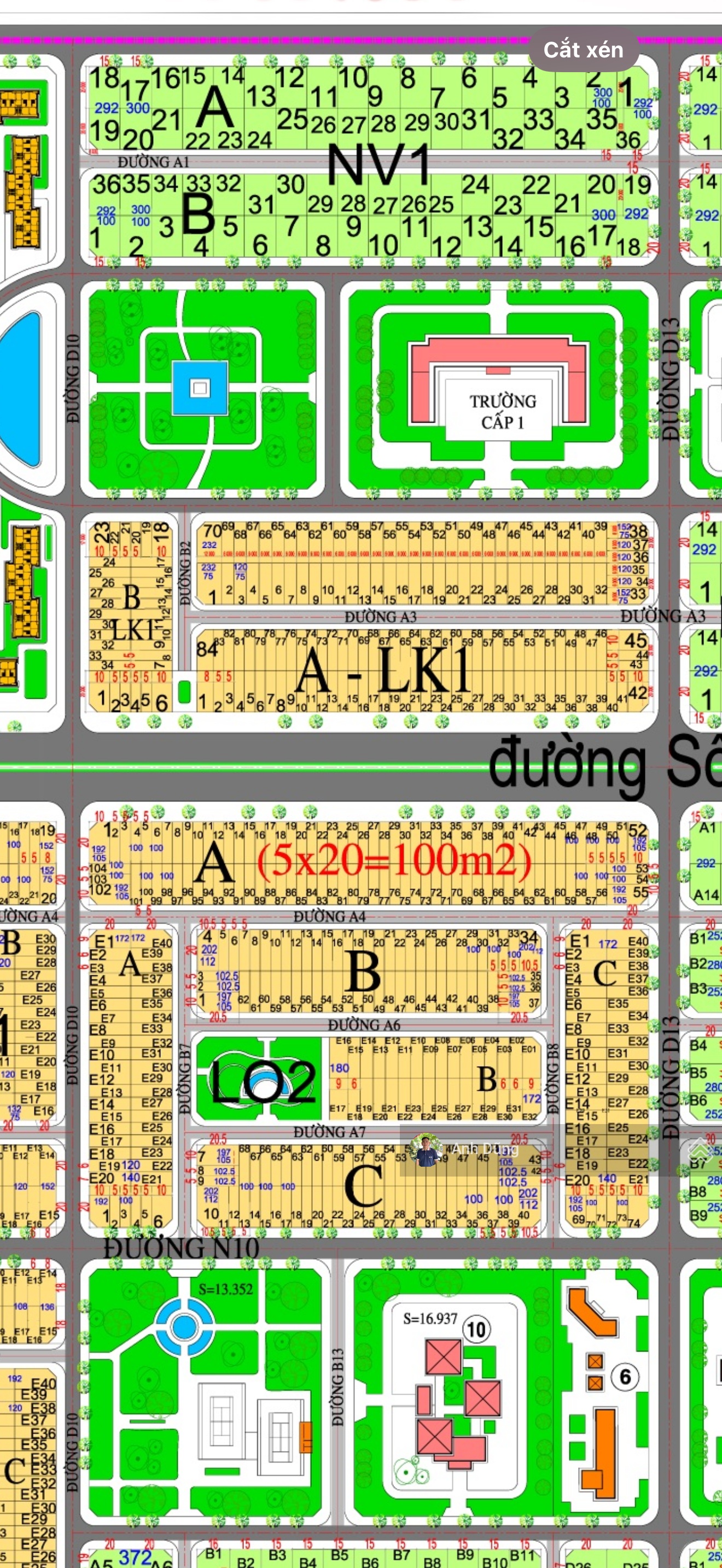 ảnh