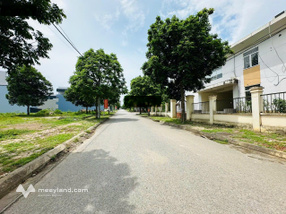 CC bán 200m2 TĐC Bắc Phú Cát, sát đường đôi, gần Phú Cát City, vị trí trung tâm Hòa Lạc