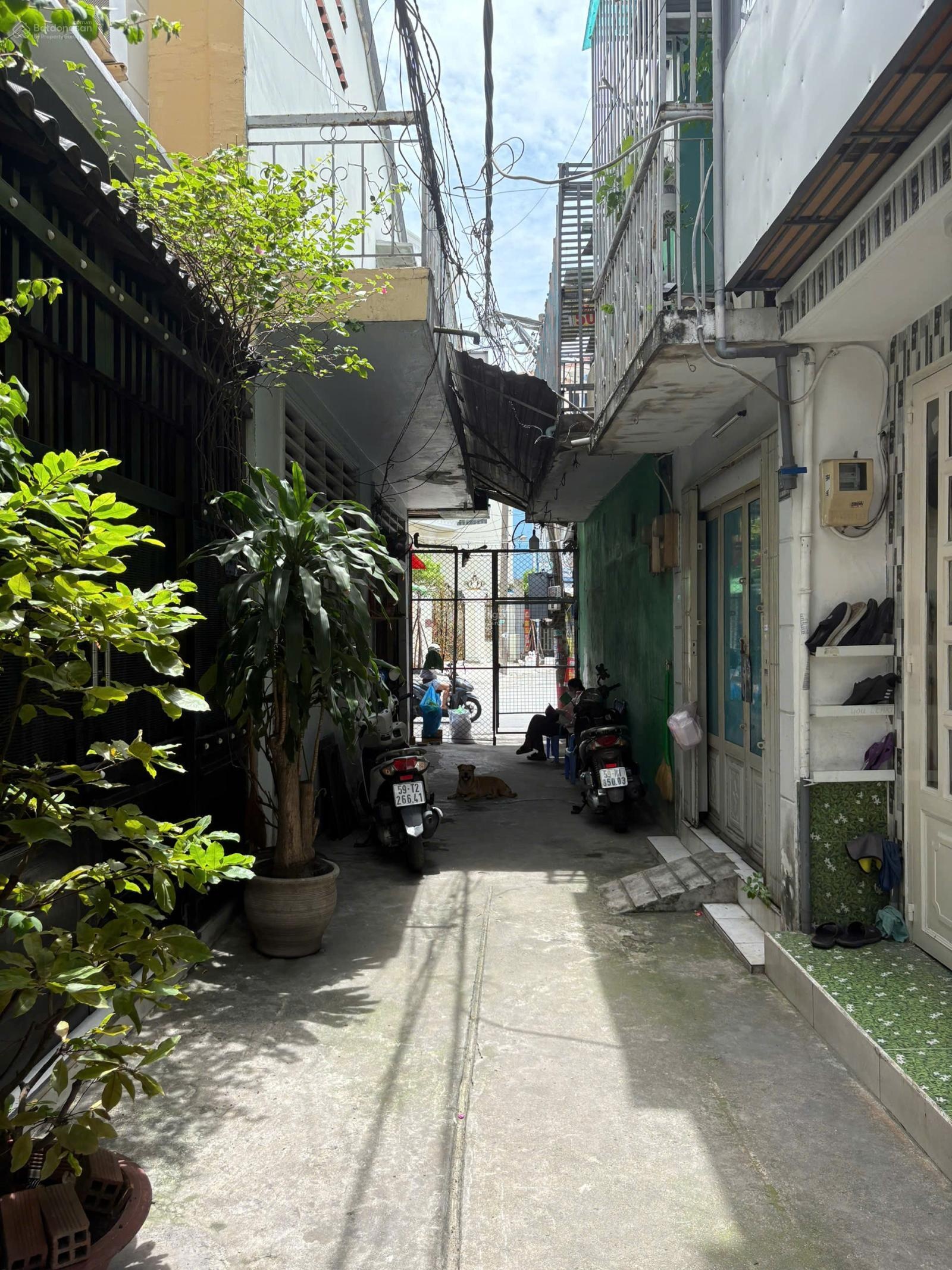ảnh