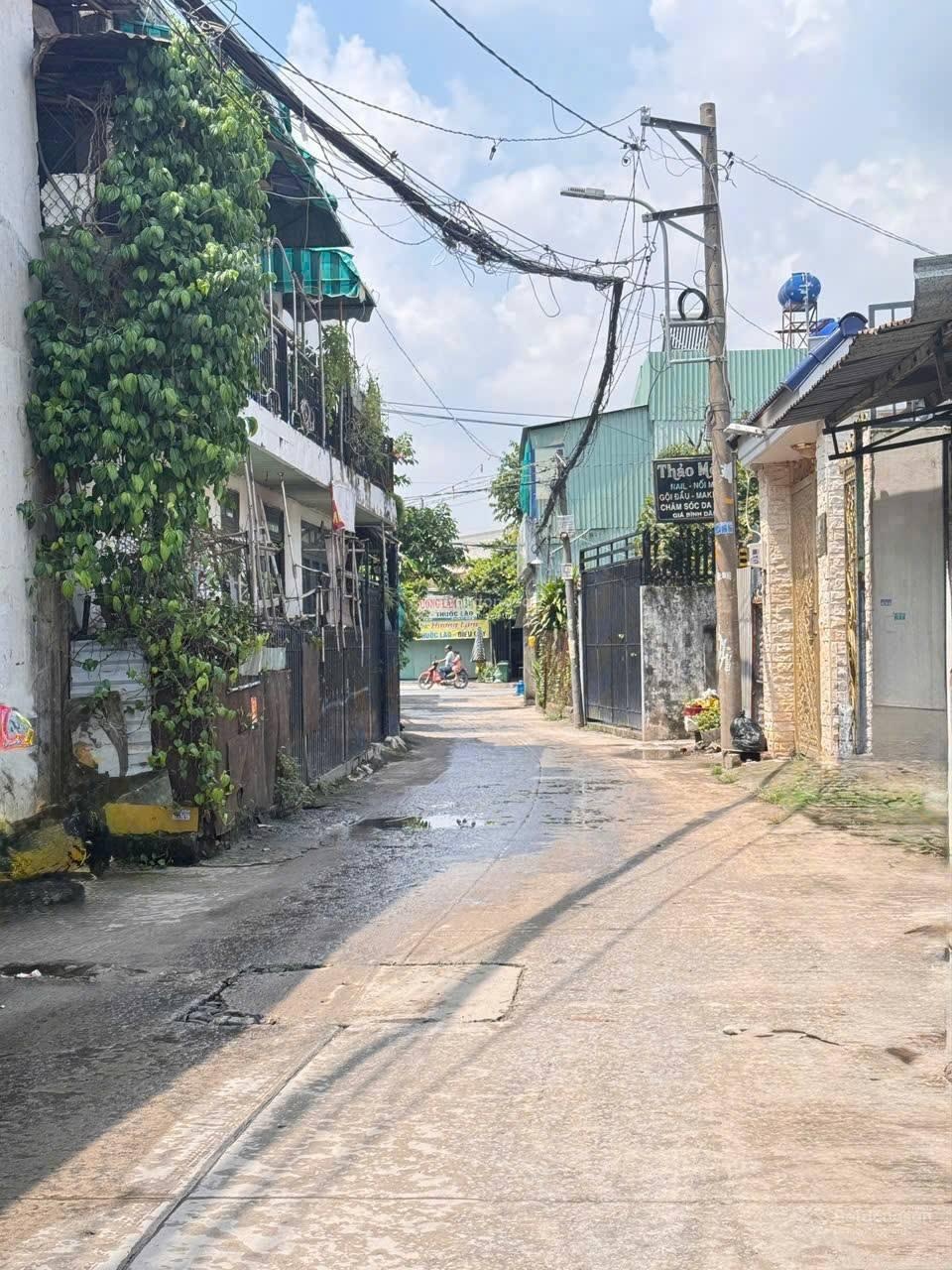ảnh