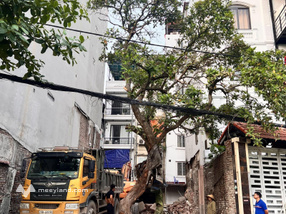 Cho thuê cửa hàng ki ốt Đường Bồ Đề, 15 triệu VND, 74 m2, nhiều tiện ích, đẹp