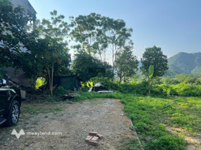 Chủ nhà cần tiền bán gấp lô đất đẹp view cánh đồng, cách trục chính đường Tỉnh Lộ 446 chỉ 100m
