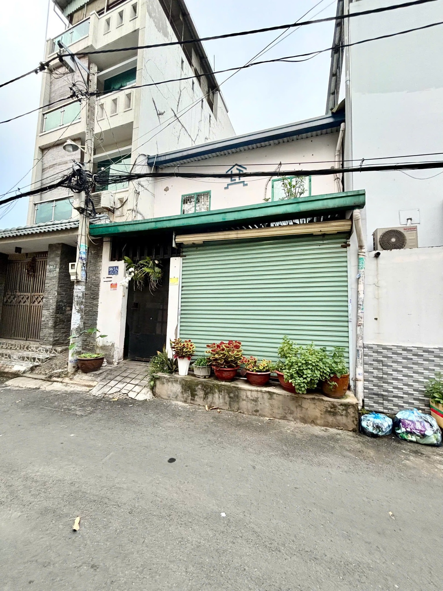 ảnh