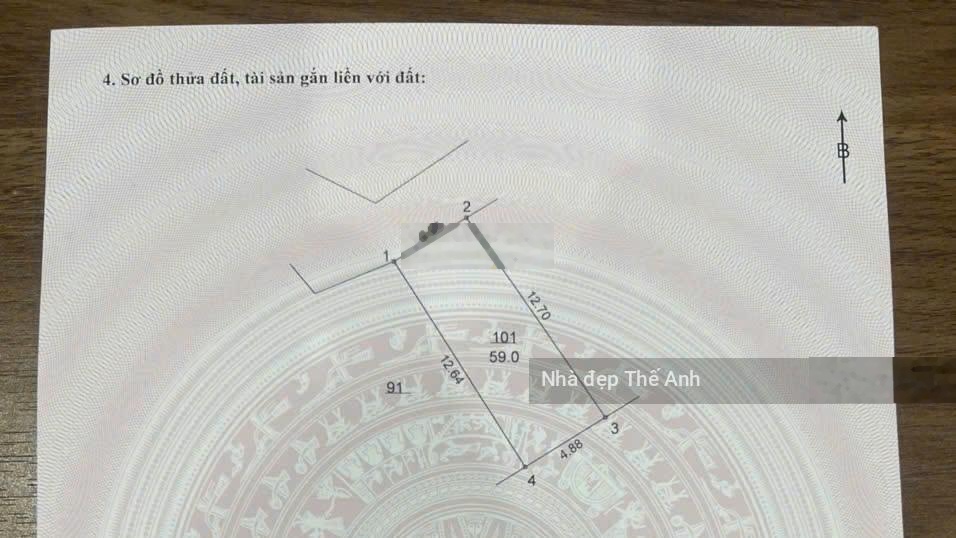 ảnh