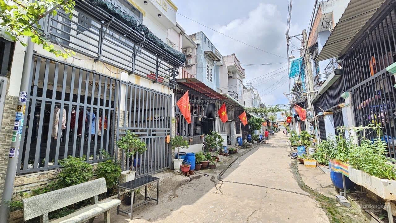 ảnh