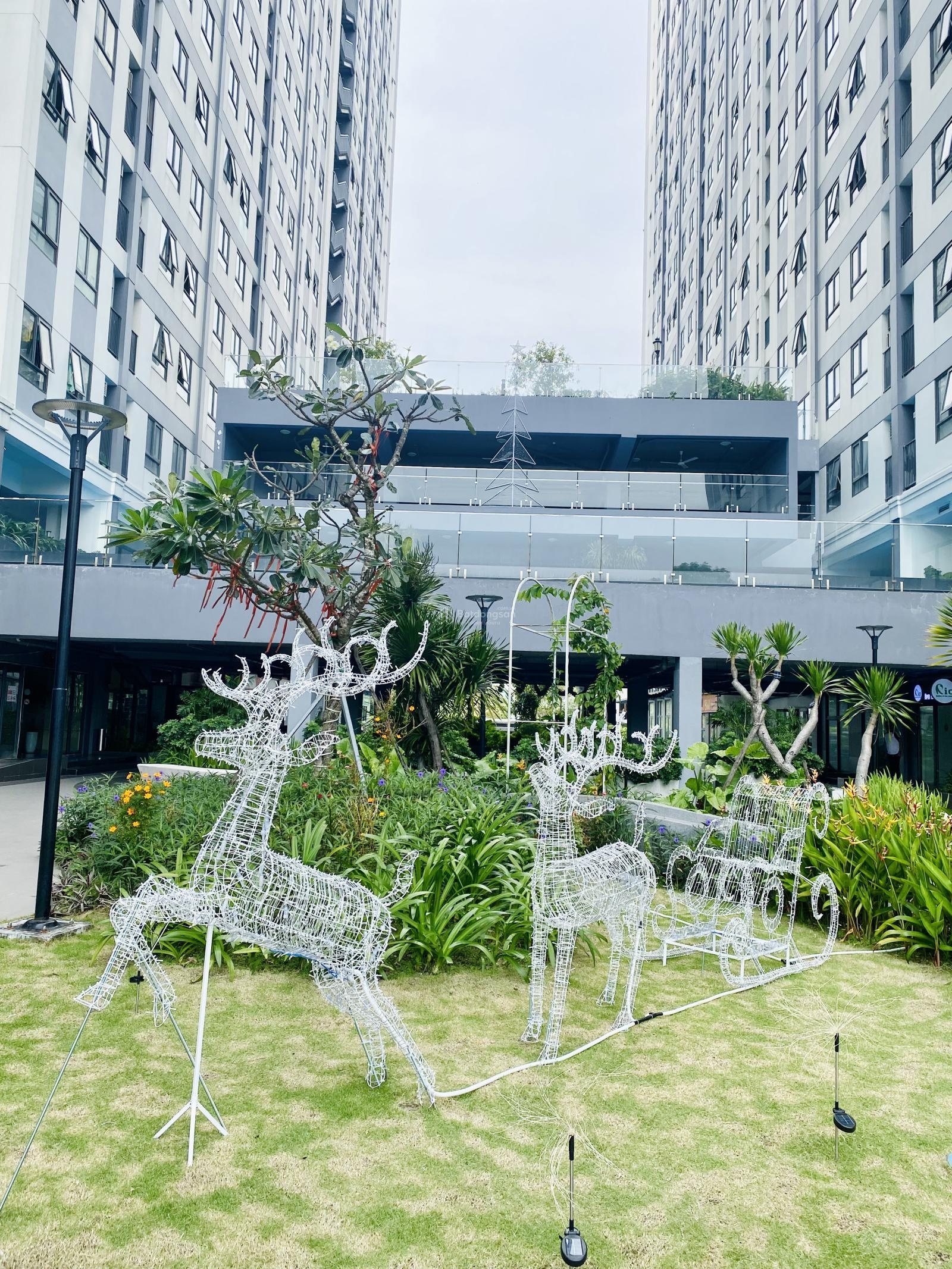 ảnh