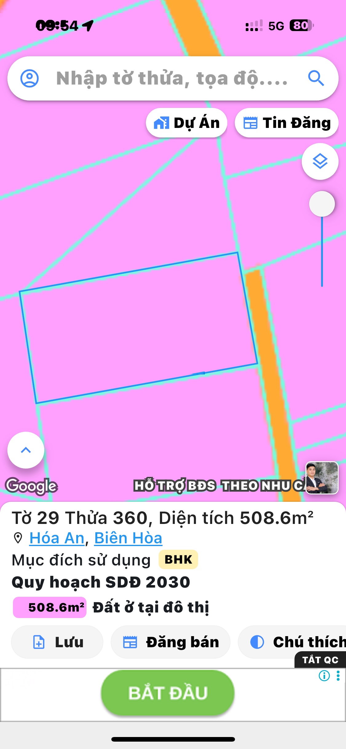 ảnh
