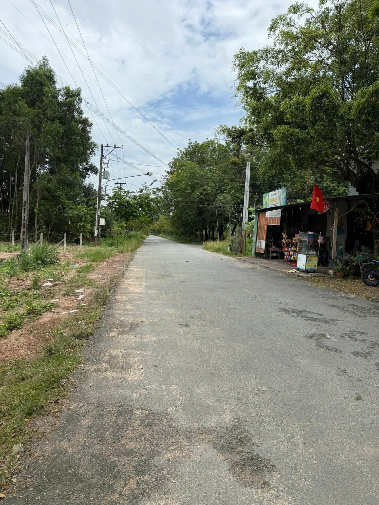 ảnh