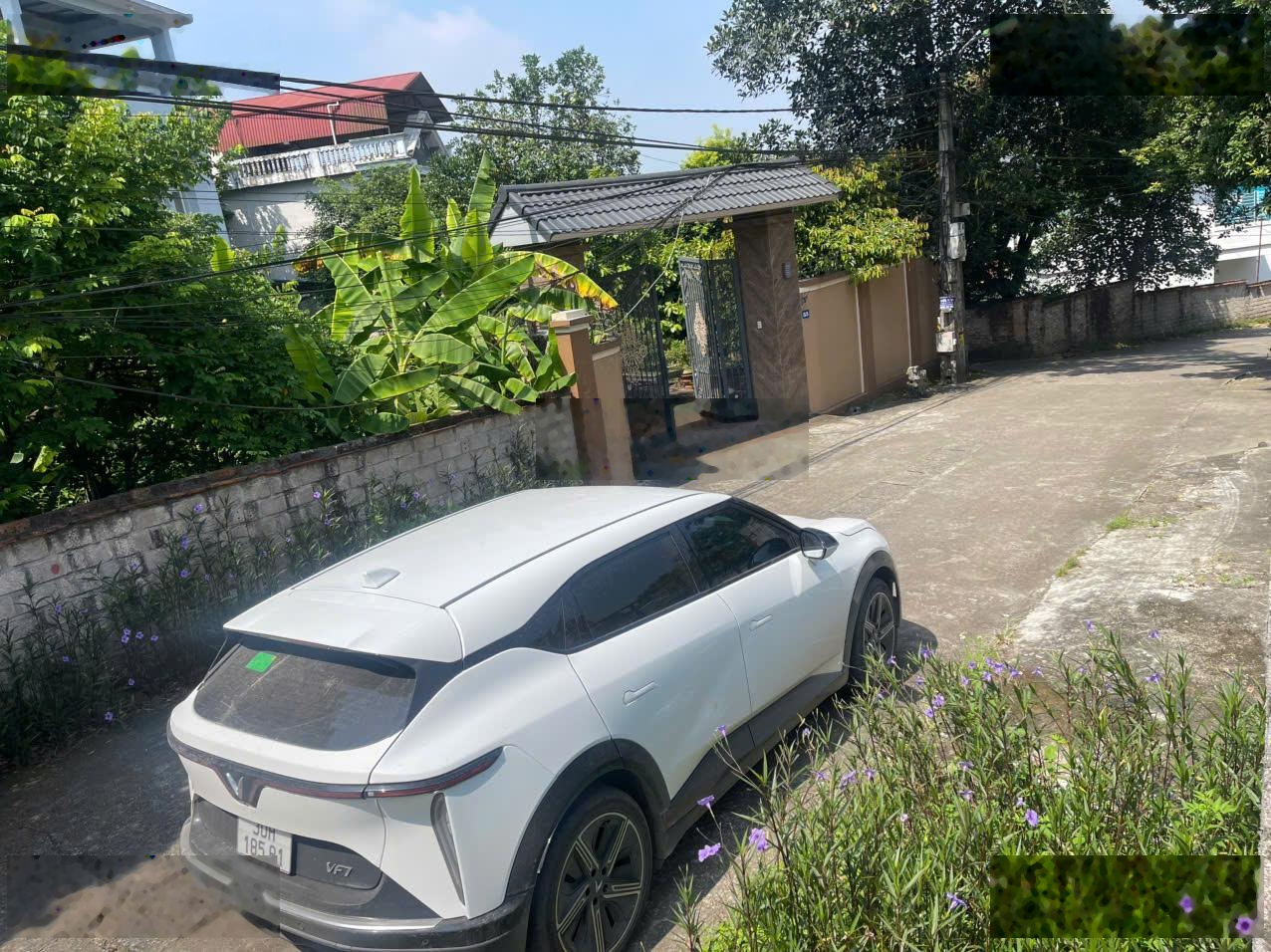 ảnh