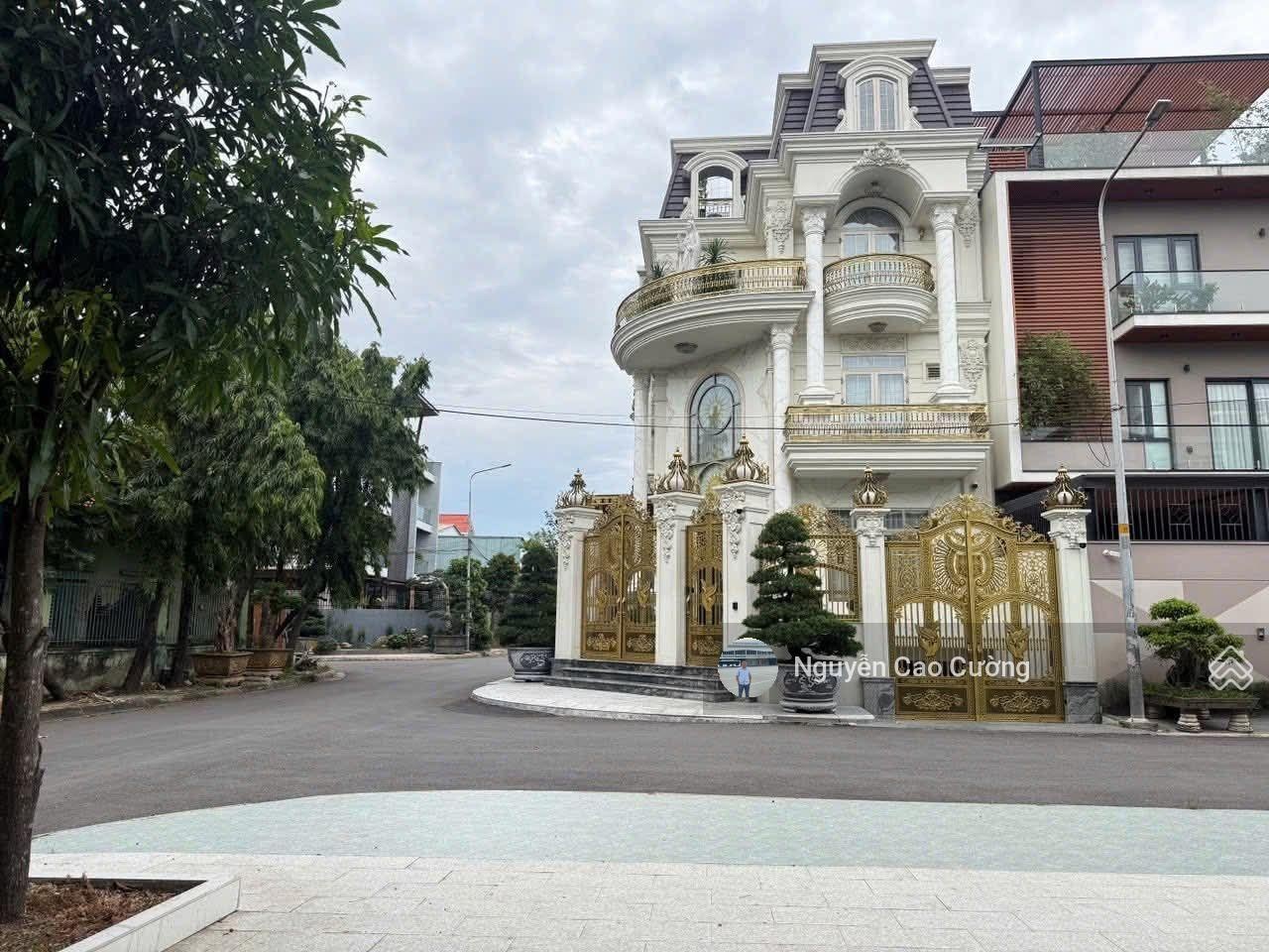 ảnh