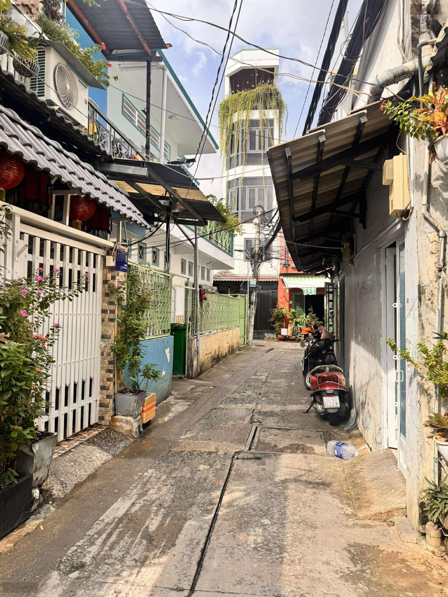 ảnh