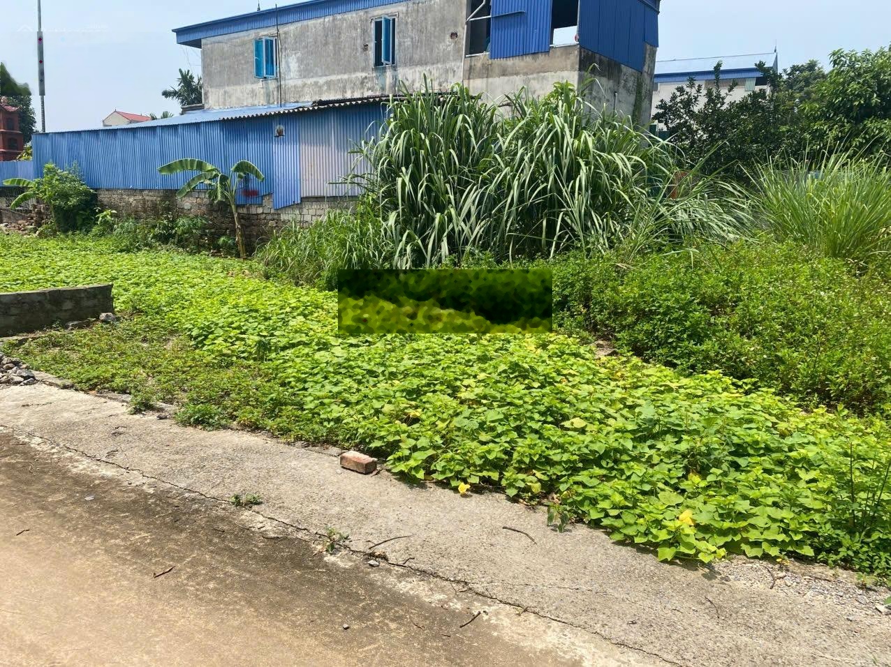 ảnh