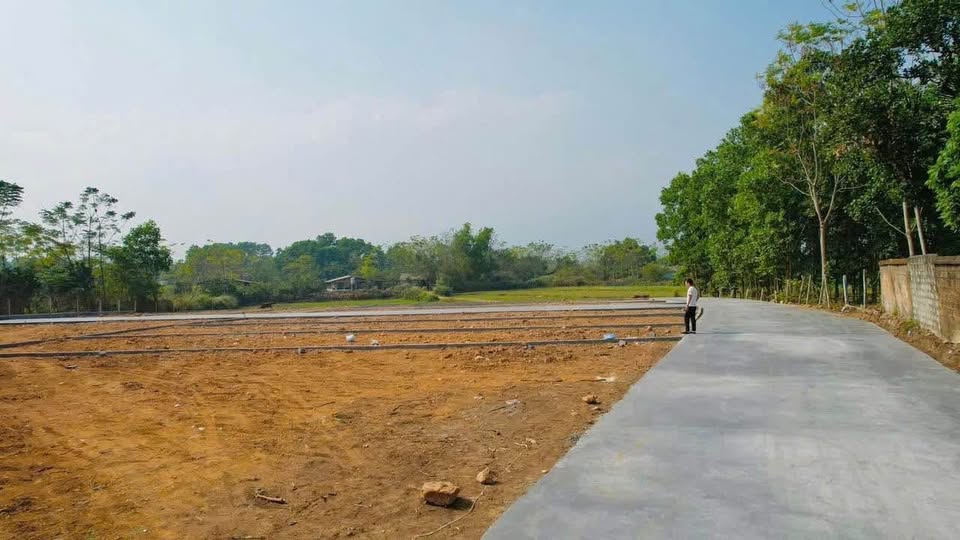 Khám phá mảnh đất mơ ước tại Đồng Trung, Thanh Thủy, Phú Thọ