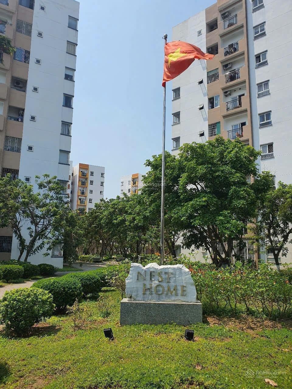 ảnh
