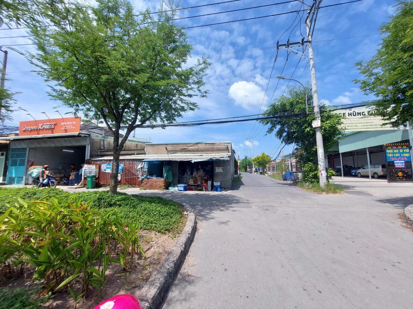 ảnh