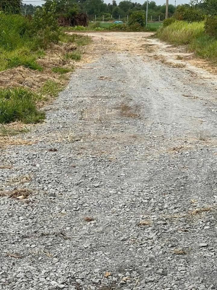 Đất vườn 1500m2 Bình Mỹ sổ hồng riêng, giá hời 3,3 tỷ, săn ngay kẻo lỡ