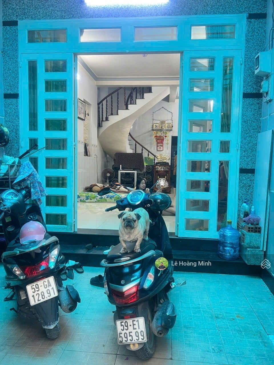 ảnh