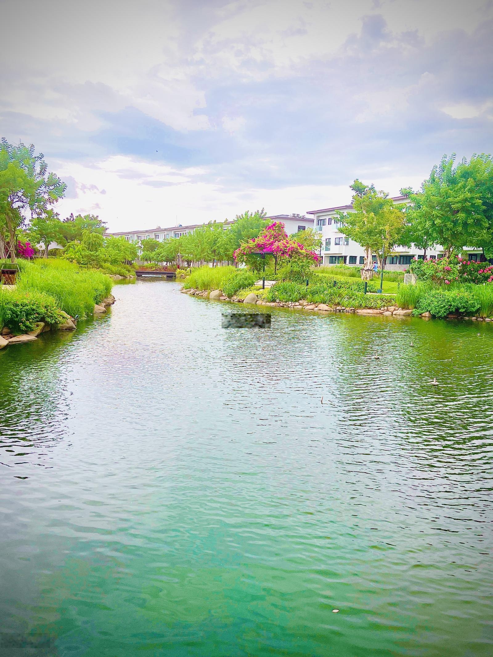 ảnh