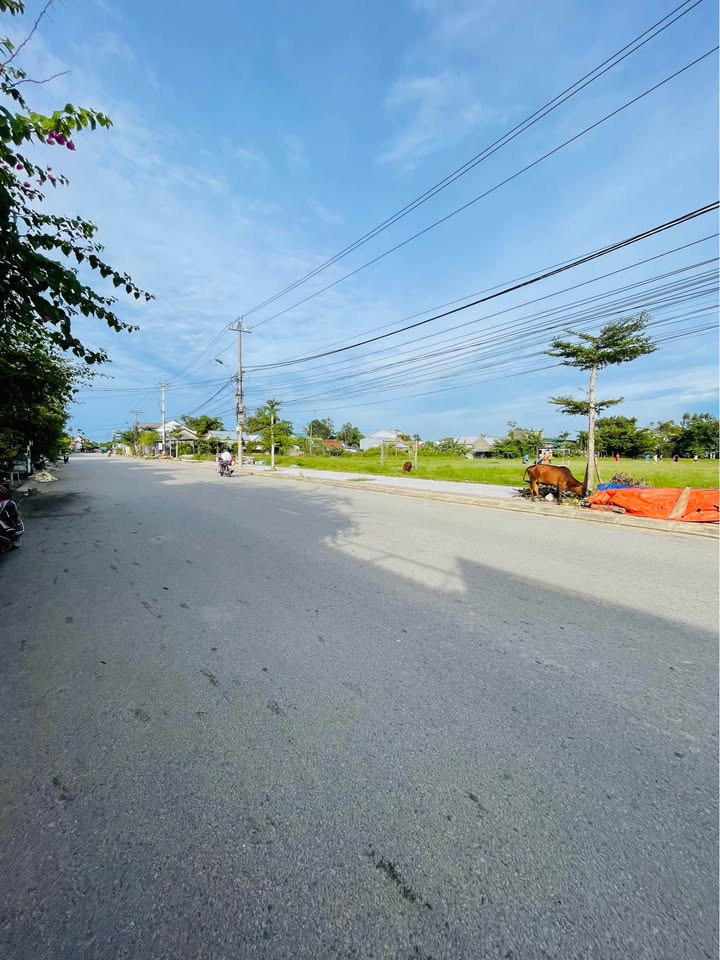 Mặt tiền Nguyễn Văn Chư, Thanh Thủy - Vị trí vàng, sinh lời nhanh