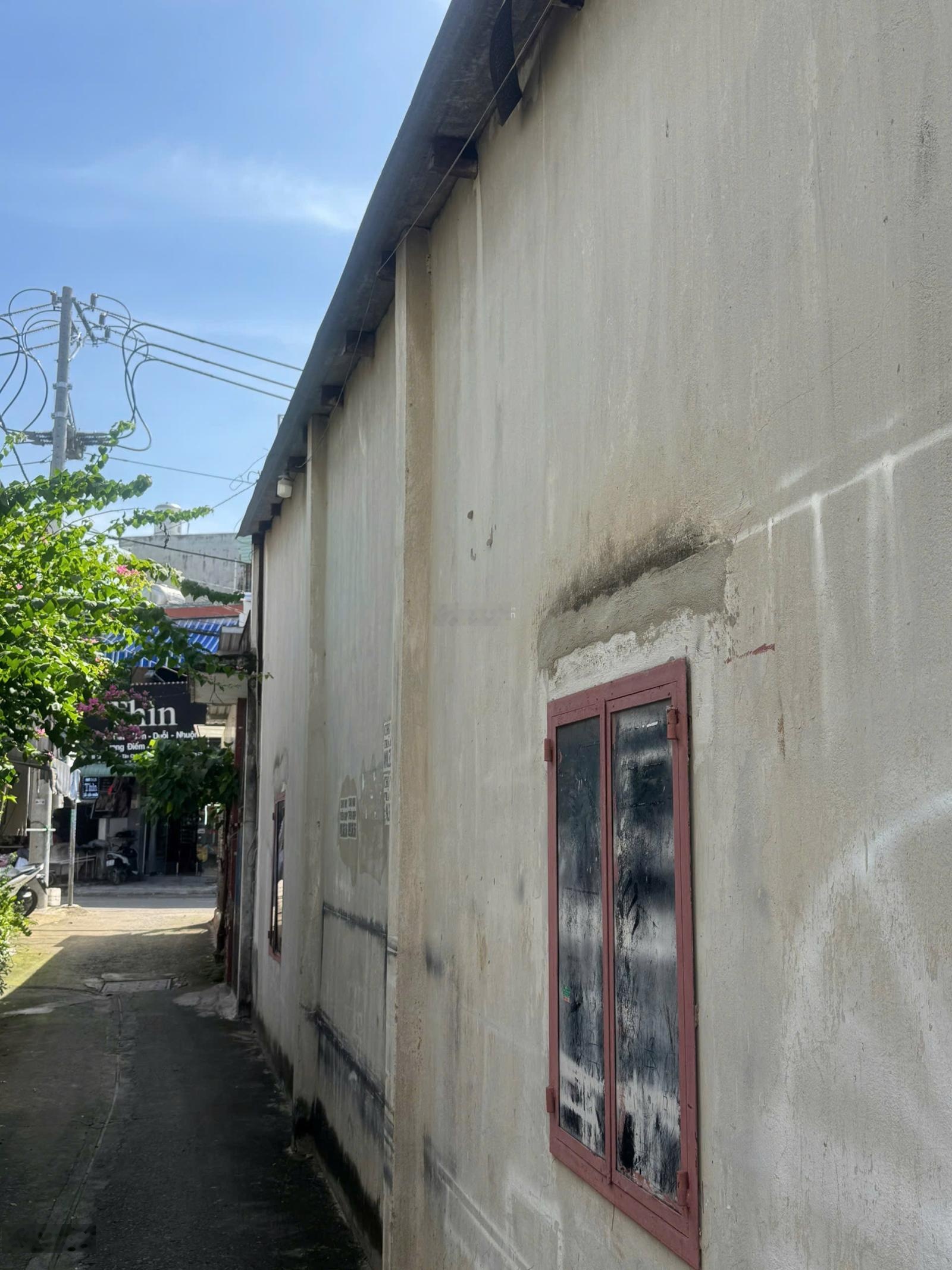 ảnh