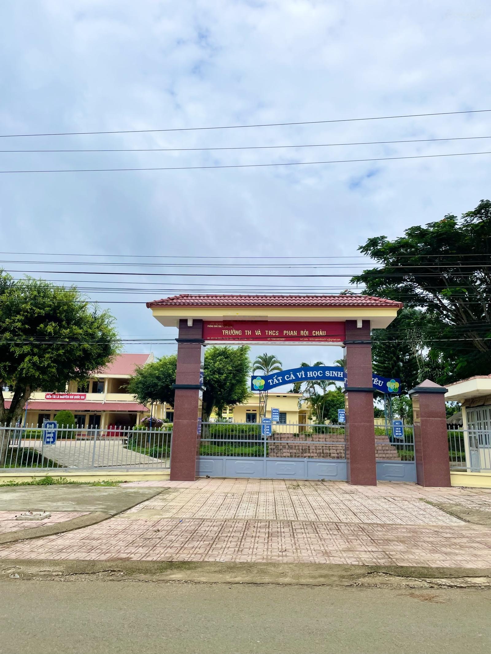 ảnh
