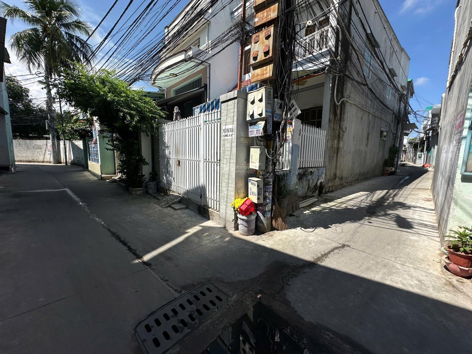 ảnh