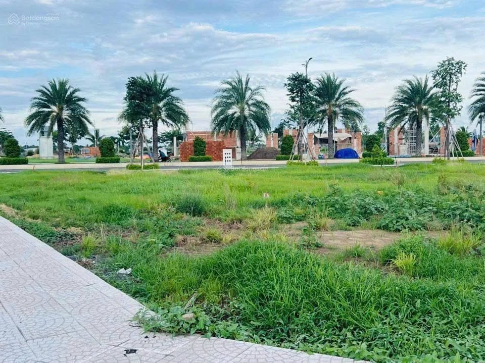 Đất Bến Lức xịn xò, sổ hồng sang tên cái rẹt