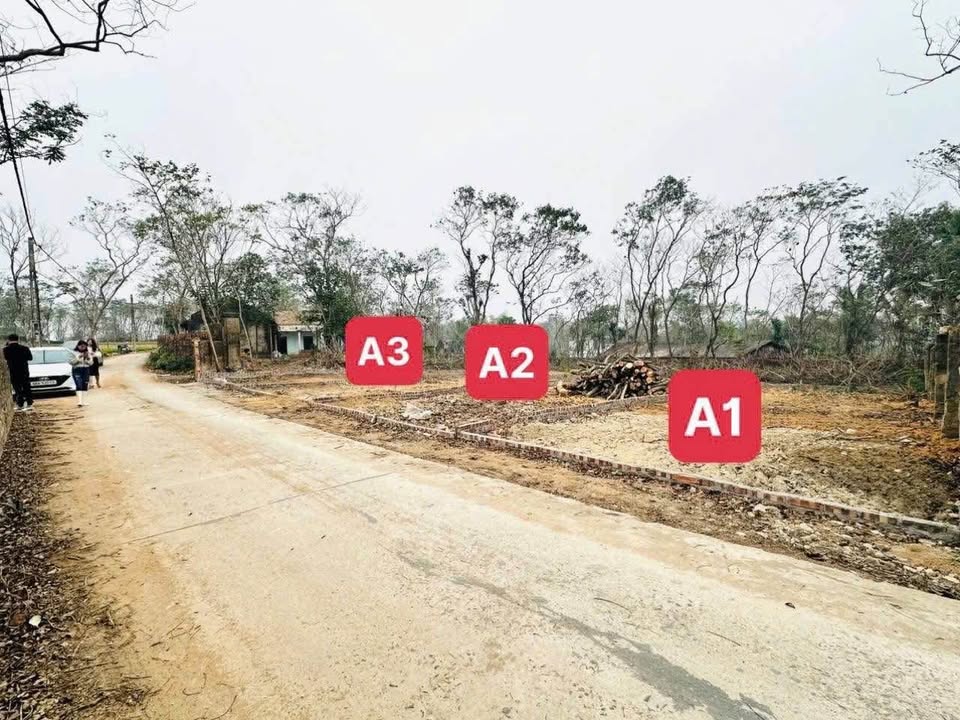 Bán đất làng Chanh, Tam Quan, Vĩnh Tường, Vĩnh Phúc diện tích 110m2