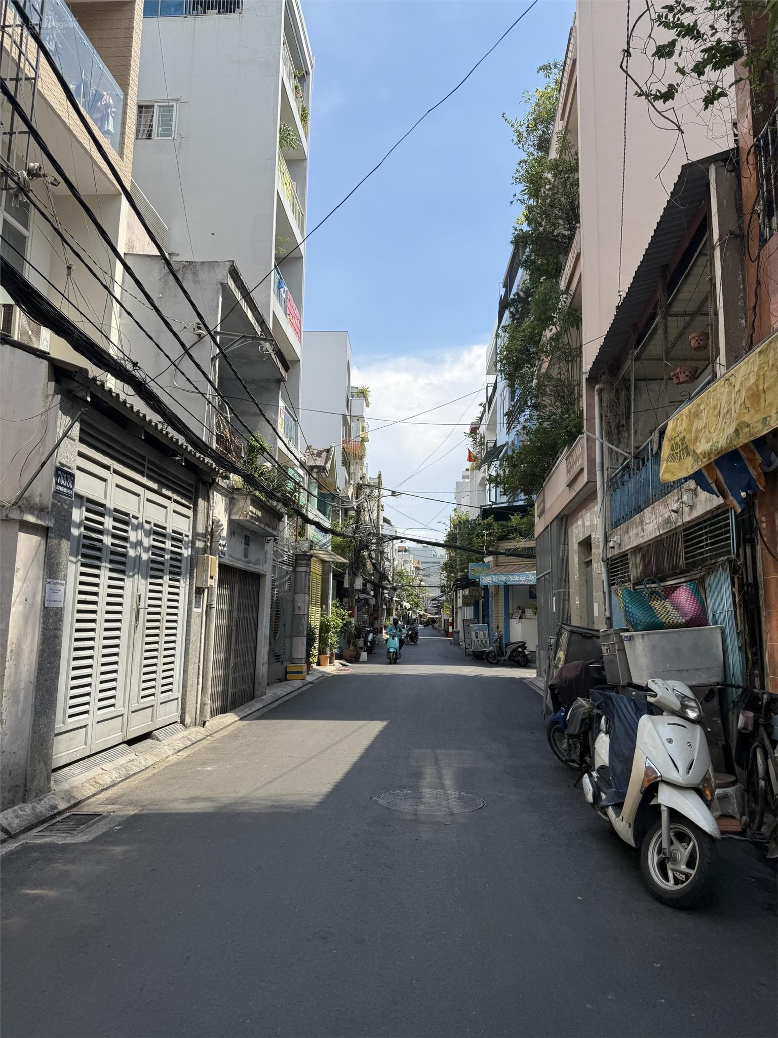 ảnh