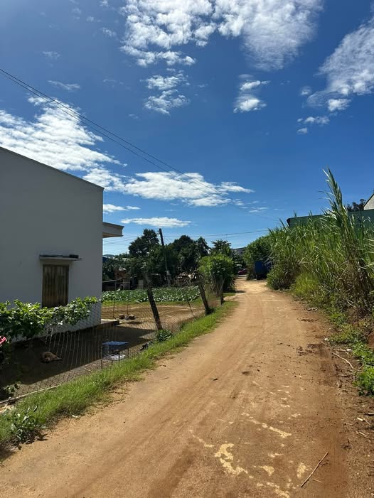 Bán đất thổ cư xã Quảng Lập, Đơn Dương, Lâm Đồng, giá chỉ 580 triệu