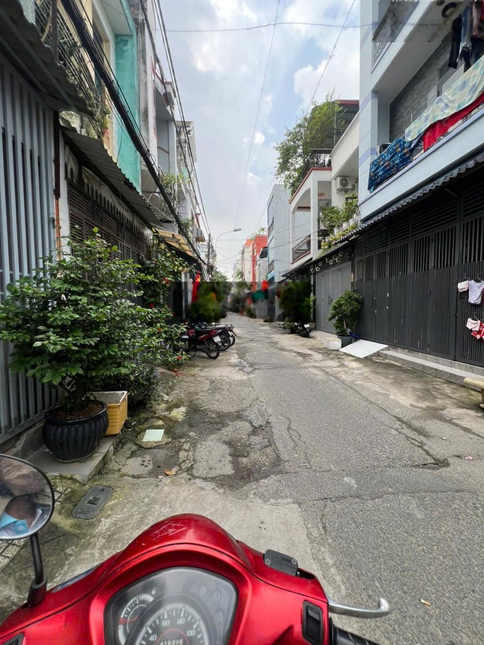 ảnh