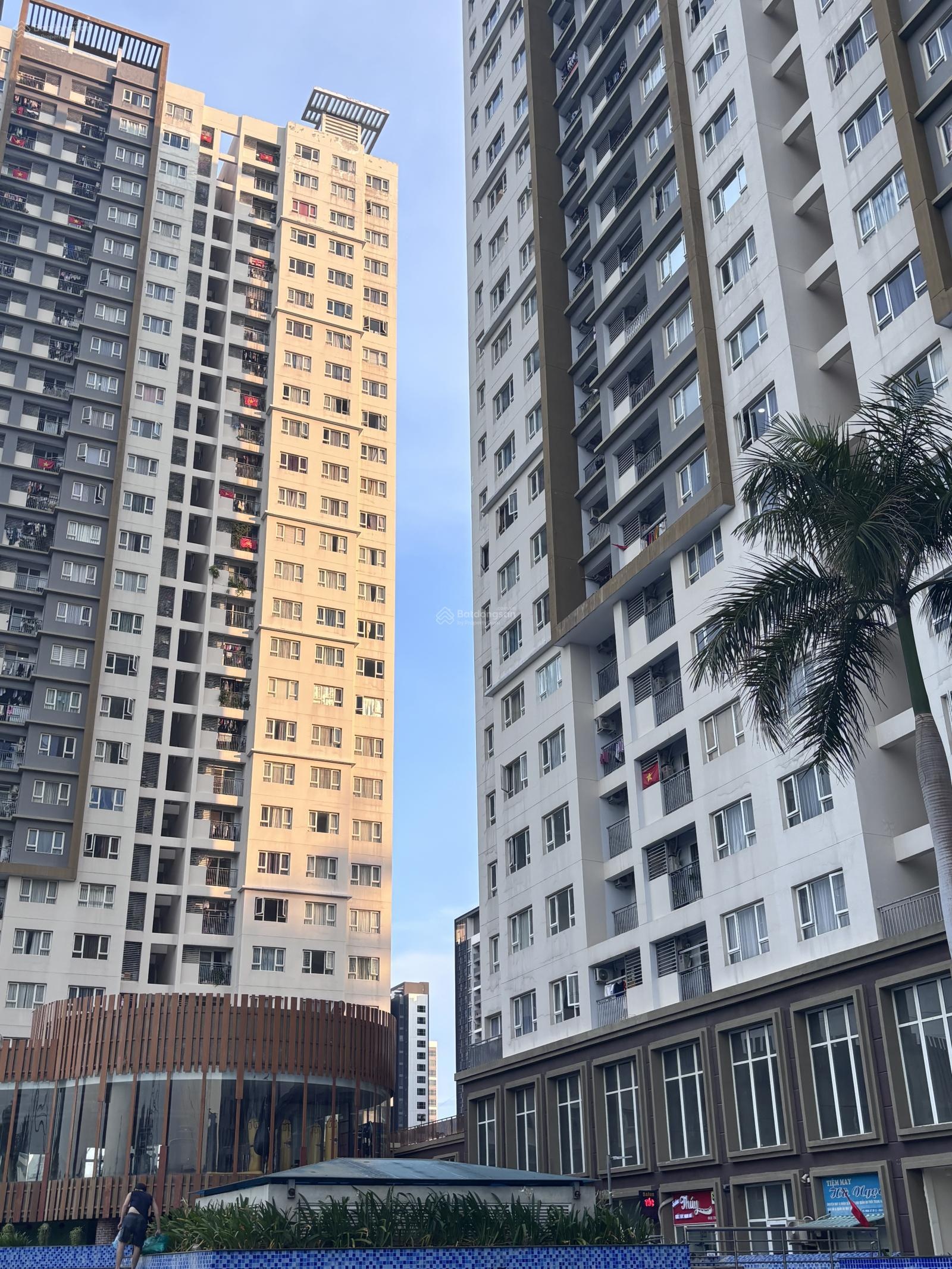 ảnh