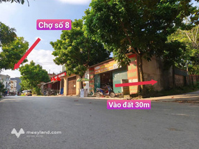 Đất nền Đồng Ăng, Tam Dương vị trí đẹp, đường rộng, giá hợp lý