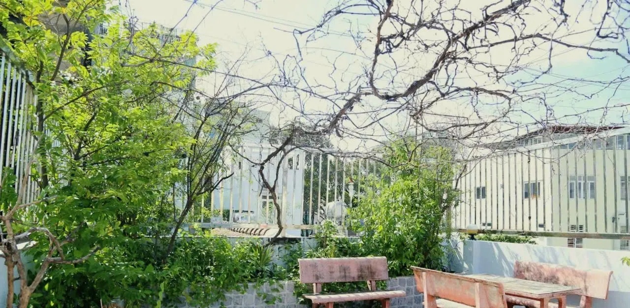 ảnh